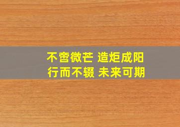 不啻微芒 造炬成阳 行而不辍 未来可期